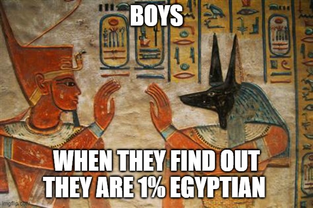 Egyptian High-Five | BOYS; WHEN THEY FIND OUT THEY ARE 1% EGYPTIAN | image tagged in egyptian high-five | made w/ Imgflip meme maker