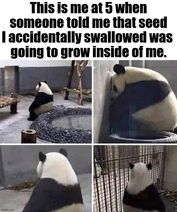 We all know one person who will tell a kid that | This is me at 5 when someone told me that seed I accidentally swallowed was 
going to grow inside of me. | image tagged in kids,weird stuff,seeds,growing up,let it grow | made w/ Imgflip meme maker