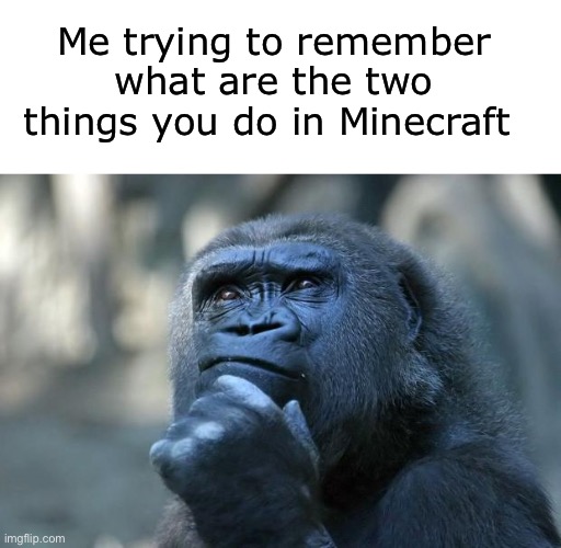 Hmmmmmmmmmm………. | Me trying to remember what are the two things you do in Minecraft | image tagged in blank white template,deep thoughts,mine,craft,minecraft,monkey | made w/ Imgflip meme maker