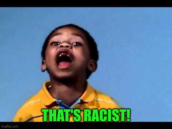 That's racist 2 | THAT'S RACIST! | image tagged in that's racist 2 | made w/ Imgflip meme maker
