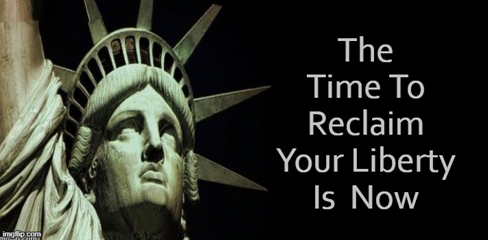 The Time To Reclaim Your Liberty Is  Now | made w/ Imgflip meme maker