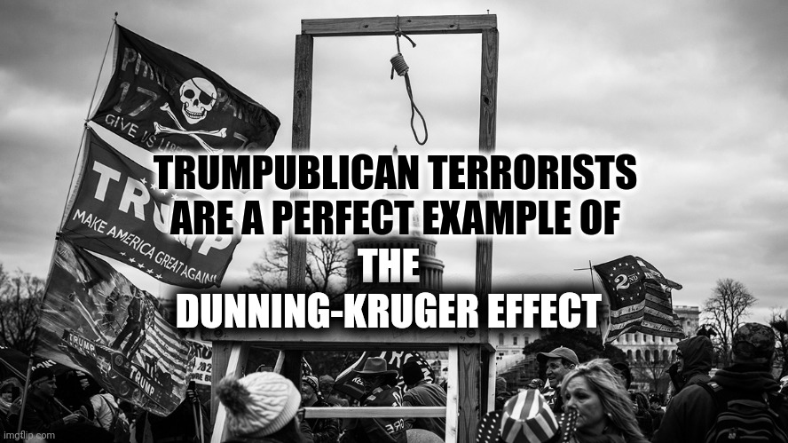 No Wonder | TRUMPUBLICAN TERRORISTS ARE A PERFECT EXAMPLE OF; THE DUNNING-KRUGER EFFECT | image tagged in noose at the capitol,memes,trumpublican terrorists,uneducated,arrogant,big ego man | made w/ Imgflip meme maker
