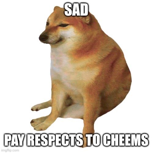 cheems | SAD PAY RESPECTS TO CHEEMS | image tagged in cheems | made w/ Imgflip meme maker