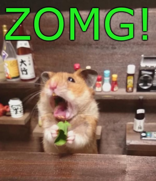 ZOMG! | made w/ Imgflip meme maker