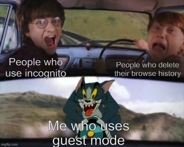 I cant use incognito so I use gust mode | People who delete their browse history; People who use incognito; Me who uses guest mode | image tagged in tom chasing harry and ron weasly,incognito,browser history,internet,guest mode | made w/ Imgflip meme maker