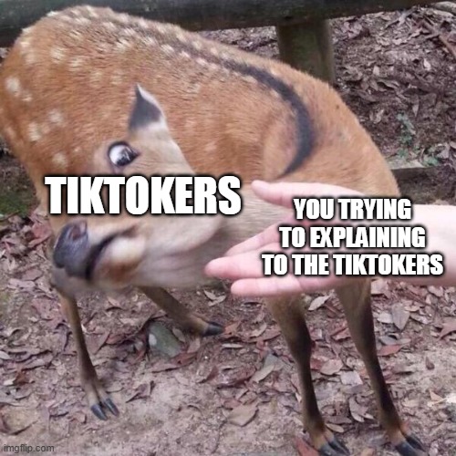 nope | YOU TRYING TO EXPLAINING TO THE TIKTOKERS TIKTOKERS | image tagged in nope | made w/ Imgflip meme maker