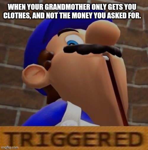 Christmas at Smg4's |  WHEN YOUR GRANDMOTHER ONLY GETS YOU CLOTHES, AND NOT THE MONEY YOU ASKED FOR. | image tagged in smg4,triggered | made w/ Imgflip meme maker