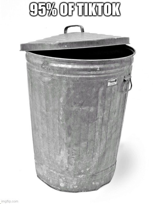 Trash Can | 95% OF TIKTOK | image tagged in trash can | made w/ Imgflip meme maker