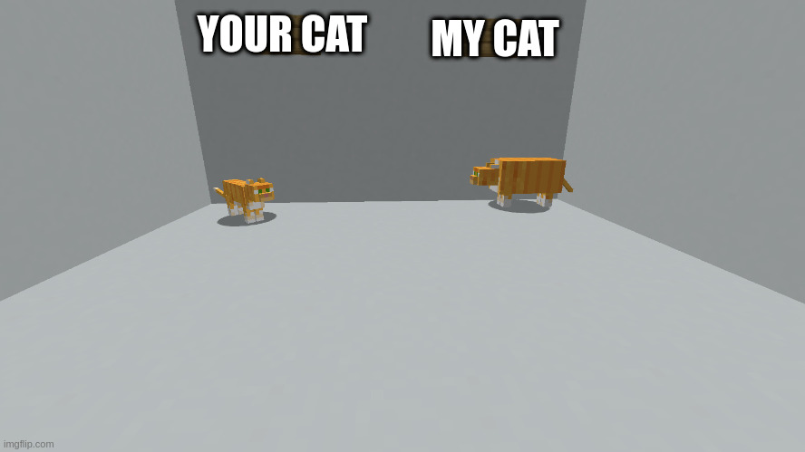 chonk | MY CAT; YOUR CAT | image tagged in cat,minecraft,fat,chonk | made w/ Imgflip meme maker
