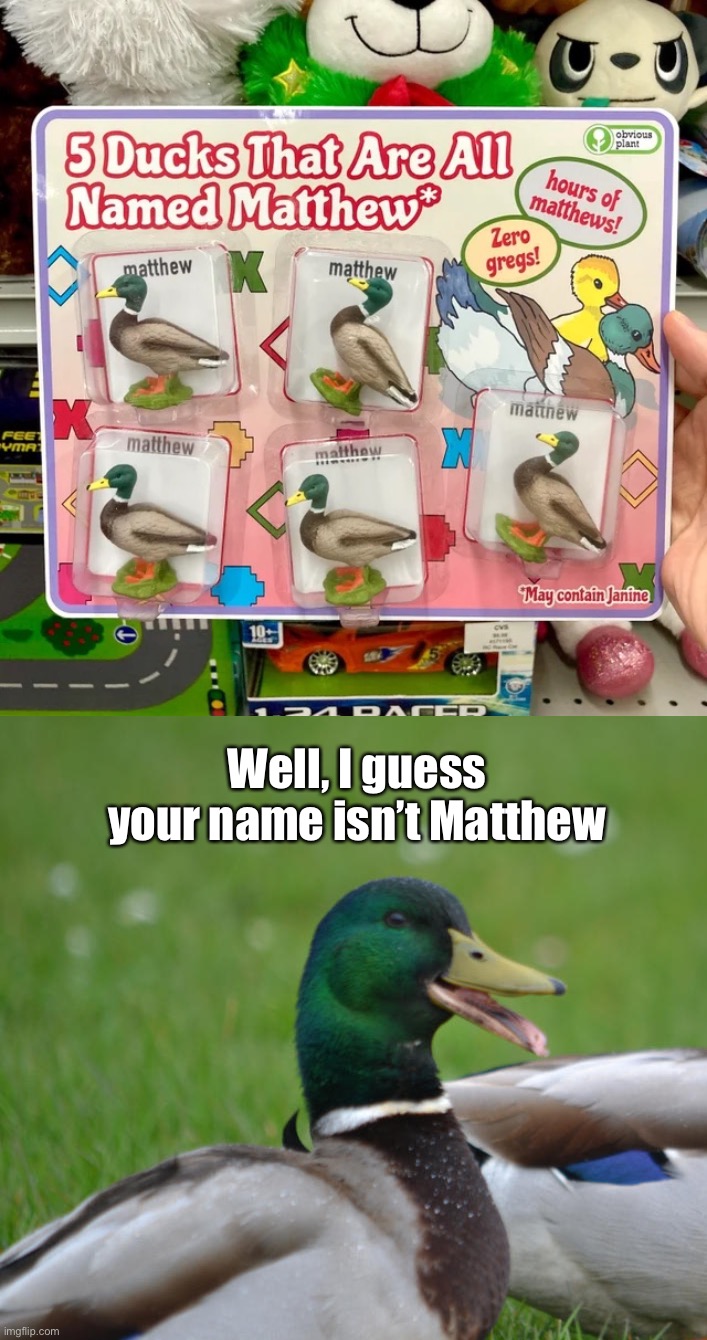 Well, I guess your name isn’t Matthew | made w/ Imgflip meme maker
