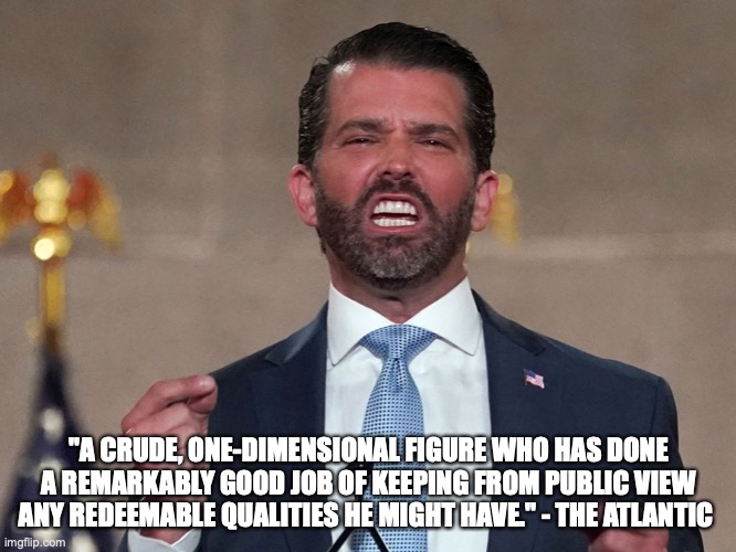 "A CRUDE, ONE-DIMENSIONAL FIGURE WHO HAS DONE A REMARKABLY GOOD JOB OF KEEPING FROM PUBLIC VIEW ANY REDEEMABLE QUALITIES HE MIGHT HAVE." - THE ATLANTIC | made w/ Imgflip meme maker