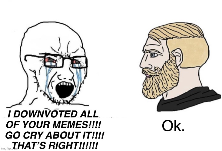 MarioTheMemer (left) vs Akifhaziq in a nutshell | I DOWNVOTED ALL OF YOUR MEMES!!!!  GO CRY ABOUT IT!!!!  THAT’S RIGHT!!!!!! Ok. | image tagged in soyboy vs yes chad,funny | made w/ Imgflip meme maker