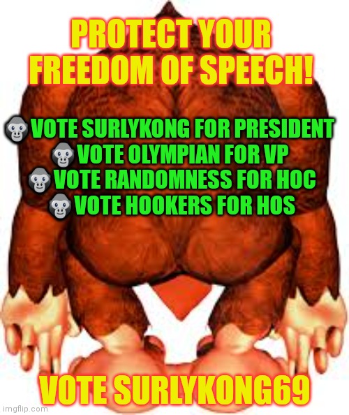 Votes out for Monkee! | PROTECT YOUR FREEDOM OF SPEECH! 🦍VOTE SURLYKONG FOR PRESIDENT 
🦍VOTE OLYMPIAN FOR VP 
🦍VOTE RANDOMNESS FOR HOC
🦍VOTE HOOKERS FOR HOS; VOTE SURLYKONG69 | image tagged in vote,surlykong,common sense,party | made w/ Imgflip meme maker