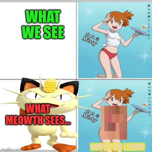 Meowth will censor all | WHAT WE SEE; WHAT MEOWTH SEES... NOPE TOO LEWD! | image tagged in meowth,pokemon,censorship,misty | made w/ Imgflip meme maker