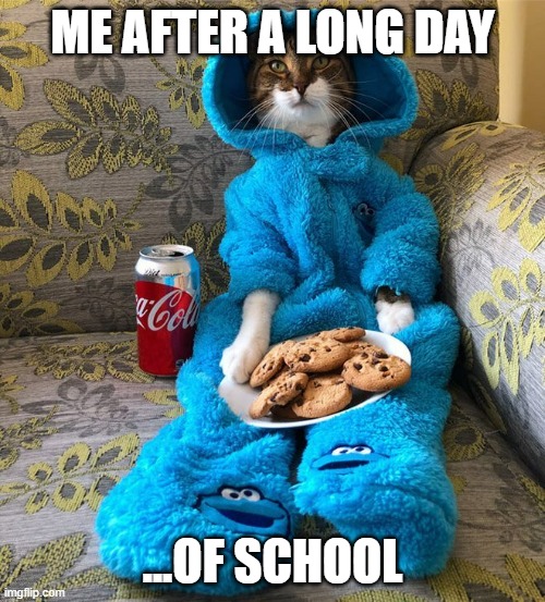 Cat in pjs |  ME AFTER A LONG DAY; ...OF SCHOOL | image tagged in cat in pjs,cat meme,meme | made w/ Imgflip meme maker