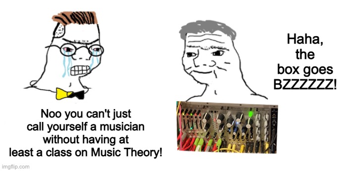 modular synth nooo haha | Haha, the box goes BZZZZZZ! Noo you can't just call yourself a musician without having at least a class on Music Theory! | image tagged in nono goes modular synth | made w/ Imgflip meme maker