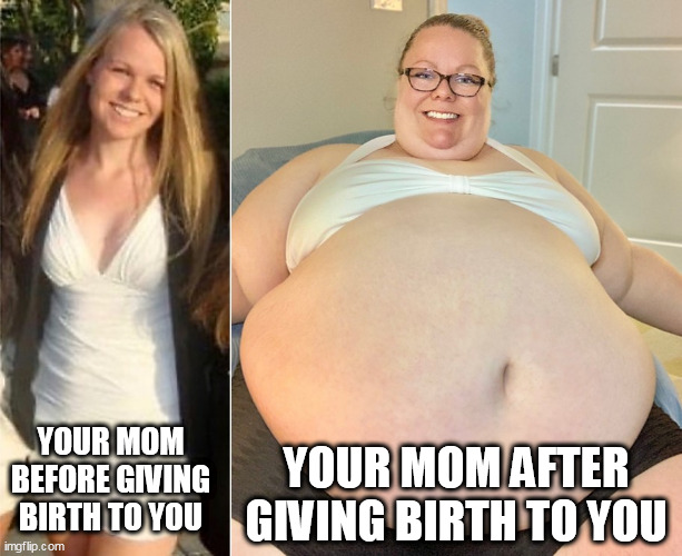 YOUR MOM BEFORE GIVING BIRTH TO YOU; YOUR MOM AFTER GIVING BIRTH TO YOU | image tagged in memes,mom,obese | made w/ Imgflip meme maker