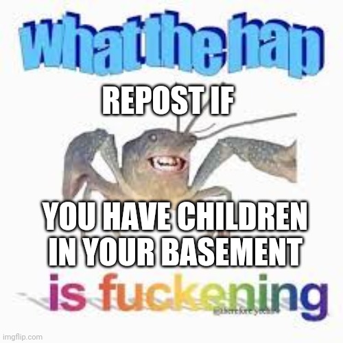 What the hap | REPOST IF; YOU HAVE CHILDREN IN YOUR BASEMENT | image tagged in what the hap | made w/ Imgflip meme maker