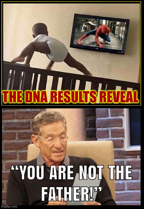 I had the feeling... when he started eating flies | THE DNA RESULTS REVEAL | image tagged in vince vance,spiderman,maury povich,dna results,maury lie detector,memes | made w/ Imgflip meme maker