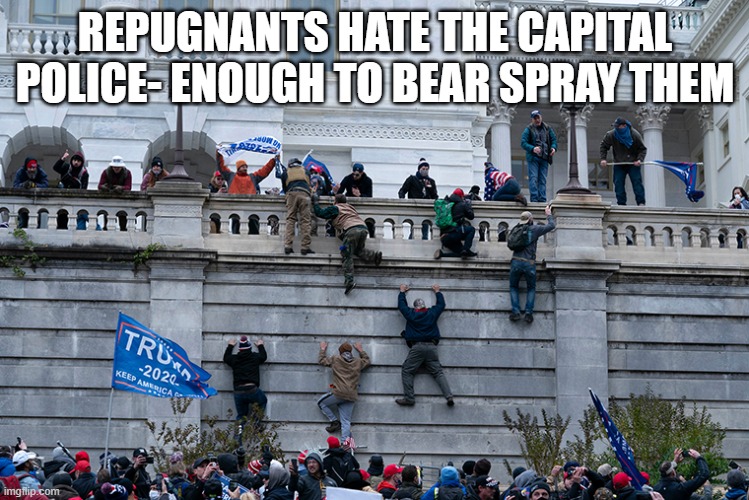 Trumpism 2021 | REPUGNANTS HATE THE CAPITAL POLICE- ENOUGH TO BEAR SPRAY THEM | image tagged in trumpism 2021 | made w/ Imgflip meme maker