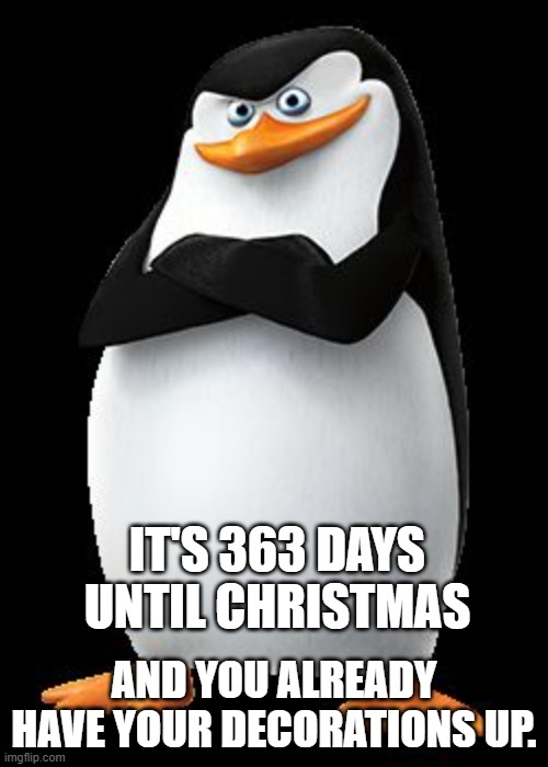  IT'S 363 DAYS UNTIL CHRISTMAS; AND YOU ALREADY HAVE YOUR DECORATIONS UP. | image tagged in skipper | made w/ Imgflip meme maker
