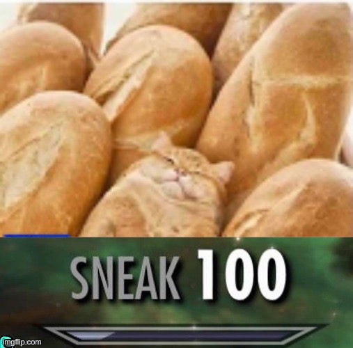 He sneak and hide | image tagged in cat,bread,sneak 100,memes,dank memes,disguise | made w/ Imgflip meme maker