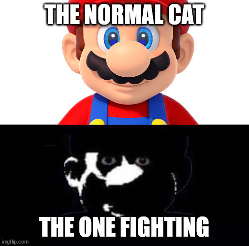 Lightside Mario VS Darkside Mario | THE NORMAL CAT THE ONE FIGHTING | image tagged in lightside mario vs darkside mario | made w/ Imgflip meme maker