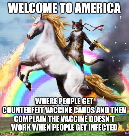 Welcome To The Internets |  WELCOME TO AMERICA; WHERE PEOPLE GET COUNTERFEIT VACCINE CARDS AND THEN COMPLAIN THE VACCINE DOESN’T WORK WHEN PEOPLE GET INFECTED | image tagged in memes,welcome to the internets | made w/ Imgflip meme maker