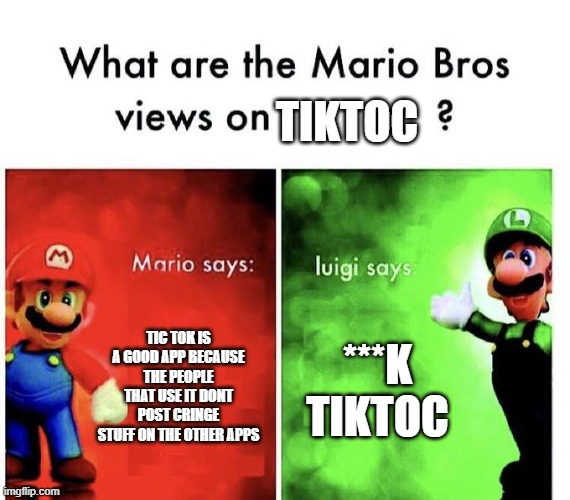 Mario Bros Views | TIKTOC; TIC TOK IS A GOOD APP BECAUSE THE PEOPLE THAT USE IT DONT POST CRINGE STUFF ON THE OTHER APPS; ***K TIKTOC | image tagged in mario bros views | made w/ Imgflip meme maker