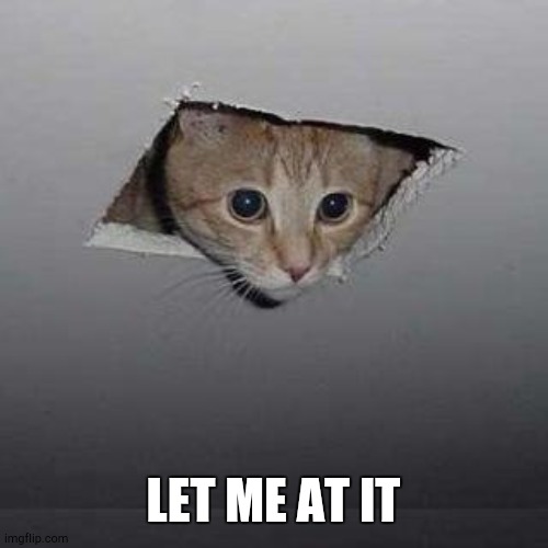 Ceiling Cat Meme | LET ME AT IT | image tagged in memes,ceiling cat | made w/ Imgflip meme maker