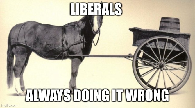 the cart before the horse | LIBERALS ALWAYS DOING IT WRONG | image tagged in the cart before the horse | made w/ Imgflip meme maker