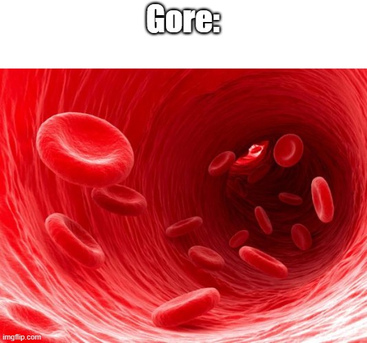 blood cells | Gore: | image tagged in blood cells | made w/ Imgflip meme maker