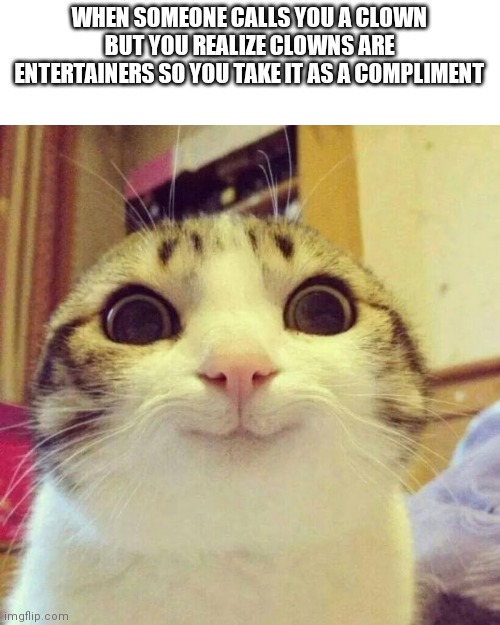 When you | WHEN SOMEONE CALLS YOU A CLOWN BUT YOU REALIZE CLOWNS ARE ENTERTAINERS SO YOU TAKE IT AS A COMPLIMENT | image tagged in memes,smiling cat | made w/ Imgflip meme maker