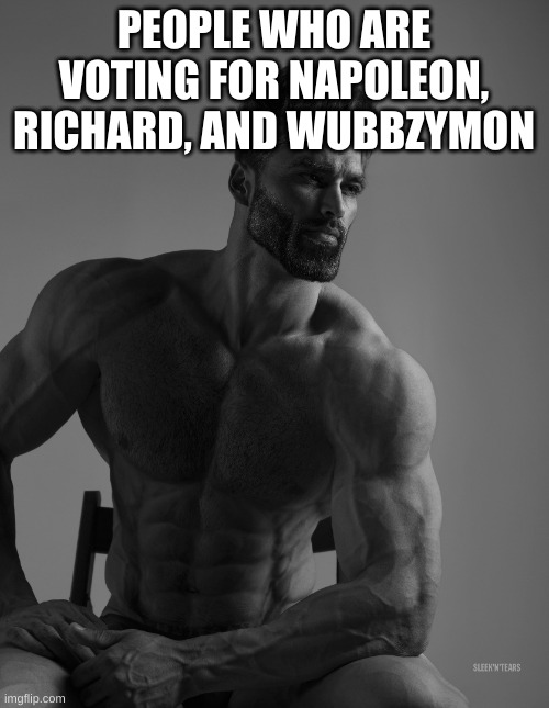 Giga Chad | PEOPLE WHO ARE VOTING FOR NAPOLEON, RICHARD, AND WUBBZYMON | image tagged in giga chad | made w/ Imgflip meme maker