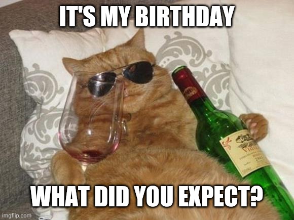 What did you expect? | IT'S MY BIRTHDAY; WHAT DID YOU EXPECT? | image tagged in funny cat birthday | made w/ Imgflip meme maker