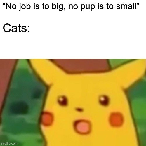 Because of my sister | “No job is to big, no pup is to small”; Cats: | image tagged in memes,surprised pikachu | made w/ Imgflip meme maker
