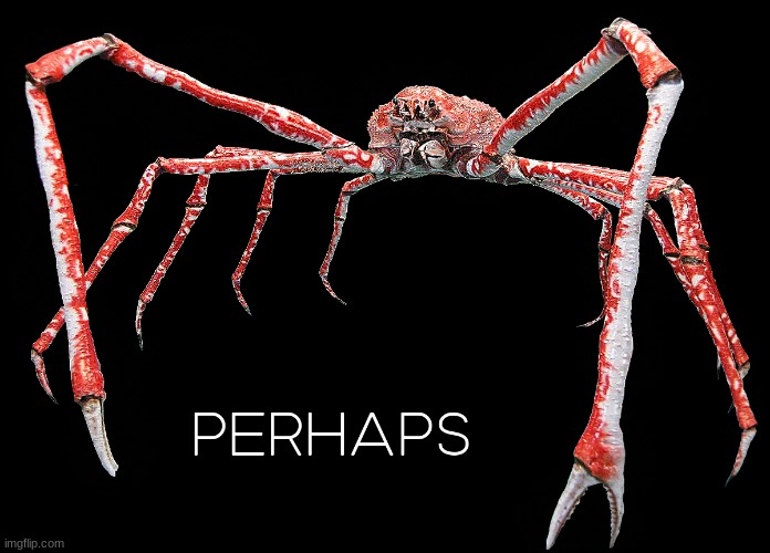 perhaps crab | image tagged in perhaps crab | made w/ Imgflip meme maker