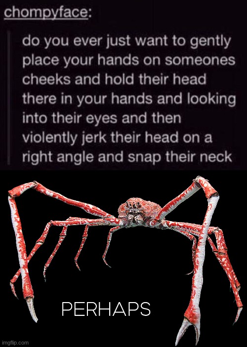 PERHAPS I DID | image tagged in perhaps crab,perhaps,i,did,kill,them | made w/ Imgflip meme maker
