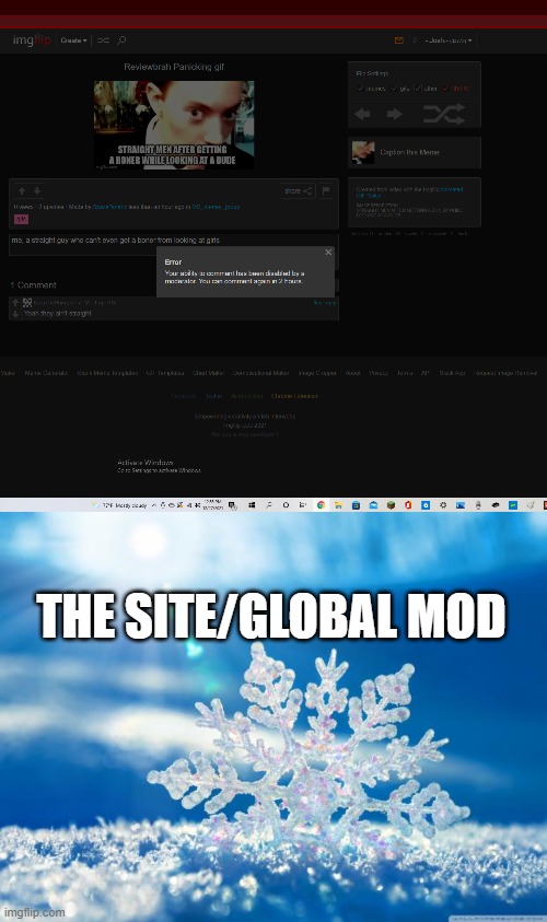 when you murder a global mod and you get rewarded for it | THE SITE/GLOBAL MOD | image tagged in snowflake | made w/ Imgflip meme maker