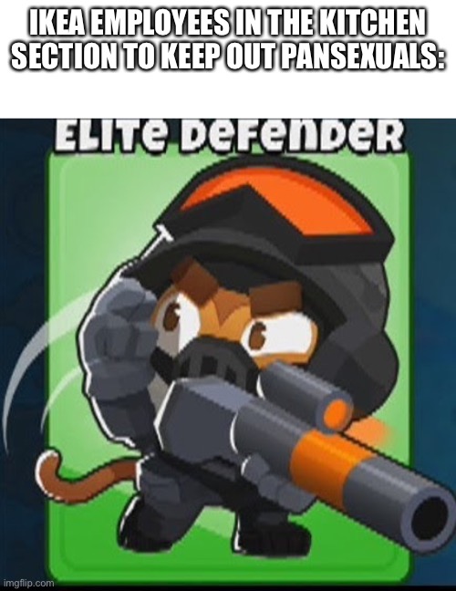 IKEA EMPLOYEES IN THE KITCHEN SECTION TO KEEP OUT PANSEXUALS: | made w/ Imgflip meme maker