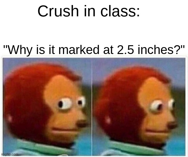 DON'T ASK PLZ | Crush in class:; "Why is it marked at 2.5 inches?" | image tagged in memes,monkey puppet | made w/ Imgflip meme maker