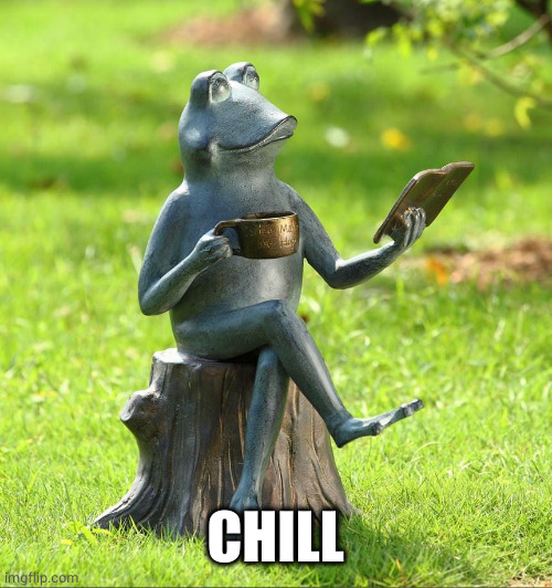 calm frog | CHILL | image tagged in calm frog | made w/ Imgflip meme maker
