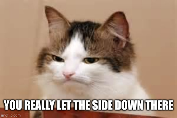 Disappointed Cat | YOU REALLY LET THE SIDE DOWN THERE | image tagged in disappointed cat | made w/ Imgflip meme maker