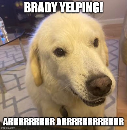Brady yelping! | BRADY YELPING! ARRRRRRRRR ARRRRRRRRRRRR | image tagged in yelling,screaming | made w/ Imgflip meme maker