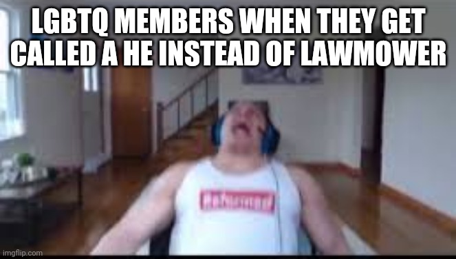 tyler1 scream | LGBTQ MEMBERS WHEN THEY GET CALLED A HE INSTEAD OF LAWMOWER | image tagged in tyler1 scream | made w/ Imgflip meme maker