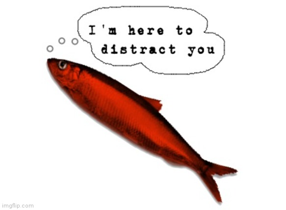 red herring | image tagged in red herring | made w/ Imgflip meme maker