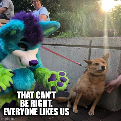 Dog afraid of furry | THAT CAN'T BE RIGHT. EVERYONE LIKES US | image tagged in dog afraid of furry | made w/ Imgflip meme maker