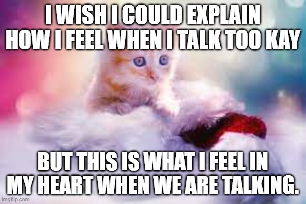 The way I feel when i talk to kay | I WISH I COULD EXPLAIN HOW I FEEL WHEN I TALK TOO KAY; BUT THIS IS WHAT I FEEL IN MY HEART WHEN WE ARE TALKING. | image tagged in cute,i love you | made w/ Imgflip meme maker