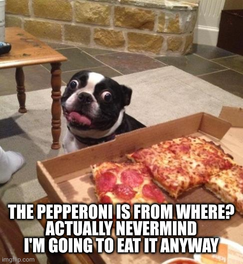 Hungry Pizza Dog | THE PEPPERONI IS FROM WHERE?
ACTUALLY NEVERMIND I'M GOING TO EAT IT ANYWAY | image tagged in hungry pizza dog | made w/ Imgflip meme maker