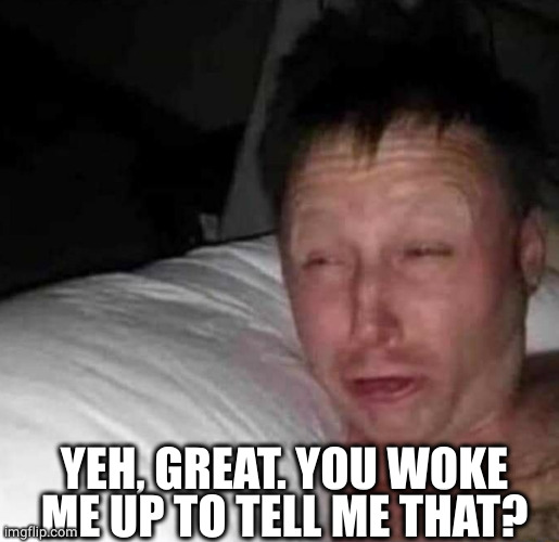 Sleepy guy | YEH, GREAT. YOU WOKE ME UP TO TELL ME THAT? | image tagged in sleepy guy | made w/ Imgflip meme maker